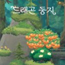 둥지과일