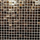 서울여자대학교 휴먼서비스대학원 | [대학 탐방] 지성과 덕성을 겸비한 여성 리더의 요람: 서울여자대학교