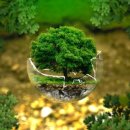 영천한의마을 약초도 이미지