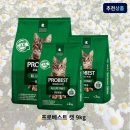 베스트 쇼핑하우