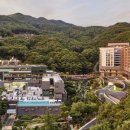 포레스트 리솜 이미지