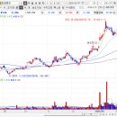 금양오션(주) 이미지
