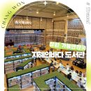 지혜의쉼터작은도서관 | 창원 비오는날 가볼만한곳 마산 지혜의바다 도서관 경남 실내 여행지