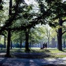 도곡치유동물병원 이미지