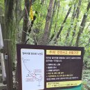 마이산 | 마이산 탑사부터 암마이봉 정상까지, 북부주차장 코스로 다녀온 진안 마이산 등산 후기