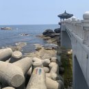 만타스시 - 김해시 장등로 18 | 만타스시