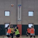 제1회 세대공감 서울시 청소년 피구대회(2차) 이미지