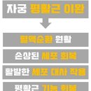 도움기술 이미지