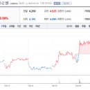 퍼스트랜드 이미지