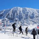 &#39;이곳이 겨울 왕국&#39;…제주 한라산 &#39;만설 장관&#39; [TF사진관] 이미지