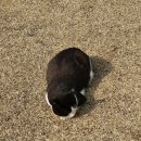 해오름 | 안성 미리내성지 카페 '카페해오름' 내돈내산 후기