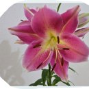 근린생활시설 이미지