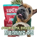 B.B.P 식품 | 저알러지사료 루시펫 독 프로바이오틱스 강아지사료 후기