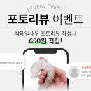 칵테일수산