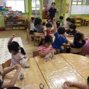 금계초교병설 이미지