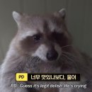 제주3박4일여행) -3탄(백한철꽈배기, 동백수목원, 스누피가든, 런던베이글, 숙성도, 서희원꼬치닷컴)