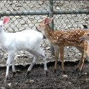 금어2리 이미지