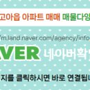 나라공인중개사사무소 이미지