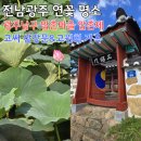 양씨삼강문 | 광주 연꽃 명소, 압촌제에서 고씨 삼강문과 고원희 가옥까지 광주 압촌마을 시간여행