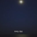 어쩌다산책 이미지