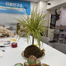 [전문강사 특강]다시 꽃 피는 인생 2막 | 🌸 “다시 꽃피는 인생2막, 리봄에서 시작됩니다!”