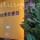 비바휘트니스 이미지