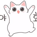 홍루이젠진주 이미지