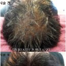메디에스테틱