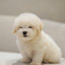 코튼빌리지 부산본점 이미지