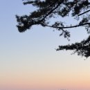 동부미식가 | 태안] 별쌍금캠핑장 | 리모델링 | 사업자등록 | 오션뷰 캠핑장 | 내돈내산 솔직 후기 | 근처 찐맛집 미식가