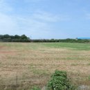 대정읍사무소 이미지