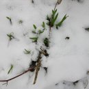 잎소아청소년과의원 이미지