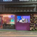 코스믹캣도넛 이미지