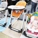 씨에스타 이미지