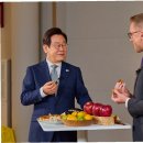 위대한 푸드 이미지