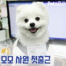 펫앤바이오 이미지