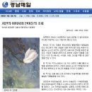 선갤러리 이미지