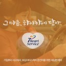 현대해상하이카 이미지