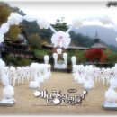 솔베르크 이미지