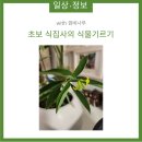깜비 | 초보 식집사의 식물기르기(with깜비나무)
