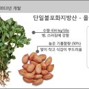 고창이엠푸드