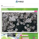 늘봄장 이미지