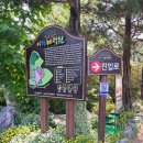 오월의정원포레스트 | 익산에서의 힐링 여행