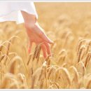 킴벨피부과병원 이미지