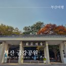 버스정류장 05-175 | 부산금강공원 11월 첫째주 부산단풍명소 실시간 현황