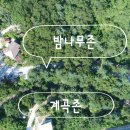 가평밤나무숲캠핑장 이미지