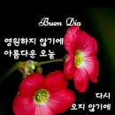 마음길 이미지