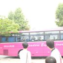 보성탕 이미지