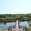 주암호 생태습지 이미지