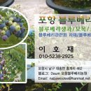 포항블루베리농원 이미지